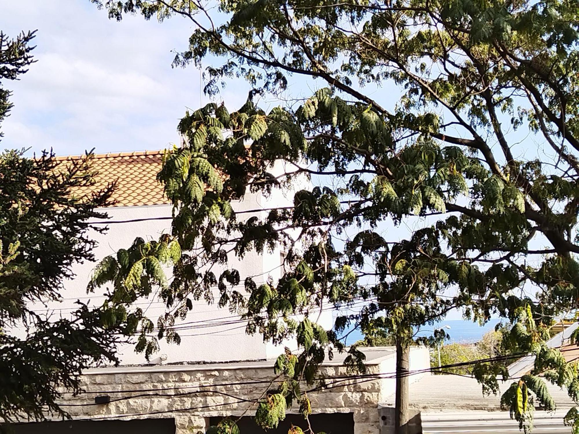 וארנה Guest House Yanita חדר תמונה